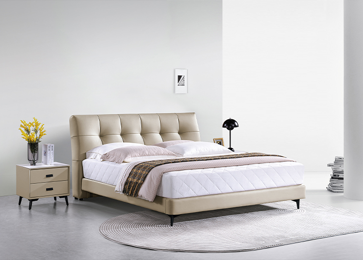 http://zyddjc.cn/upload/Product/202303/1238514192640e8c0deb1b0.jpg